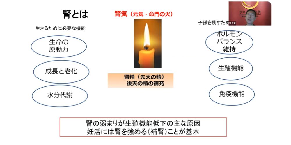 腎とは 生きるため必要な機能