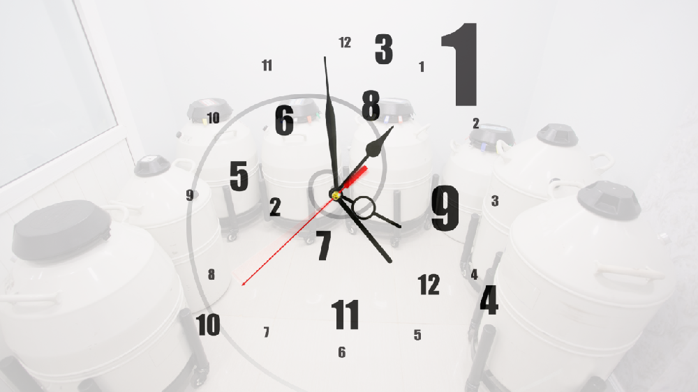 卵子凍結のプロセス