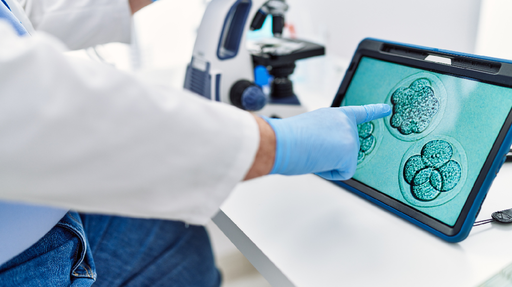 パートナーとの相談イメージ